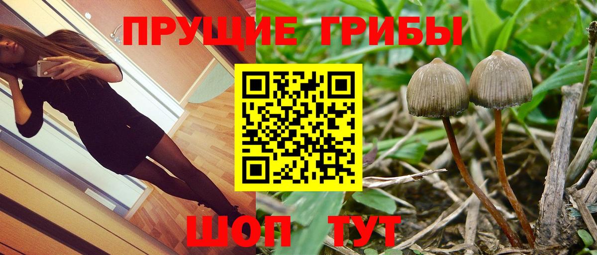 Галлюциногенные грибы Magic Shrooms Керчь