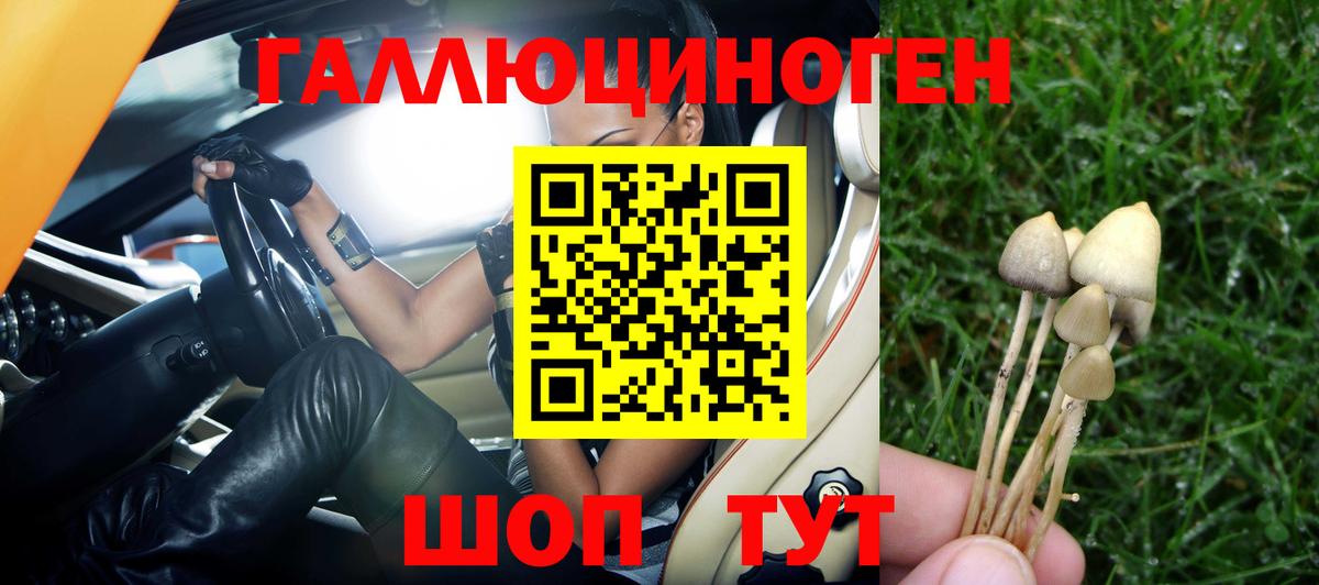 Керчь  Галлюциногенные грибы Psilocybine cubensis  Вход с VPN 